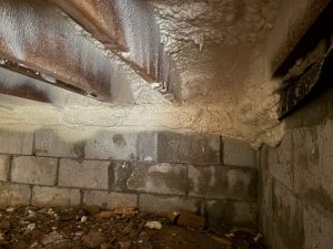 Monroe insulation companies